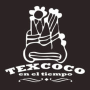 www.texcocoeneltiempo.org